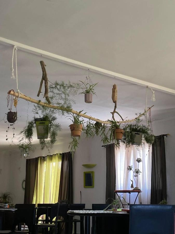 Arcantis Hotel La Gentillhommiere Trèbes Dış mekan fotoğraf