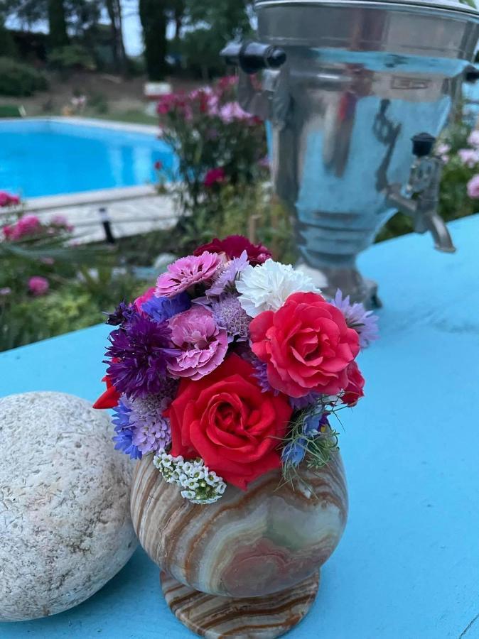 Arcantis Hotel La Gentillhommiere Trèbes Dış mekan fotoğraf